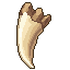 Dente de Lobo